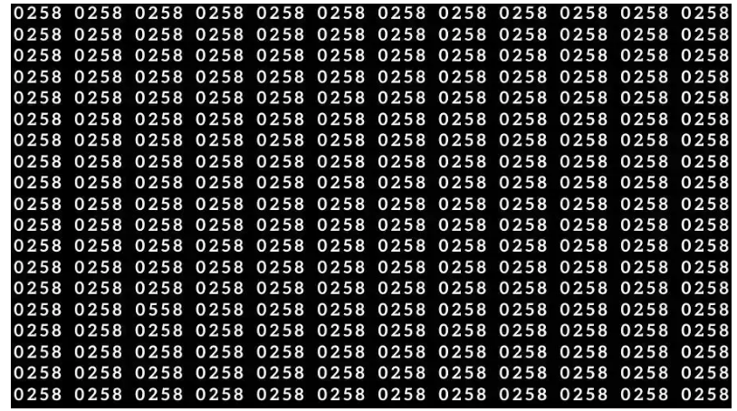 لغز صعب ومحير للأذكياء… ابحث عن رقم 0558 من بين 0258 خلال 12 ثانية – البوكس نيوز
