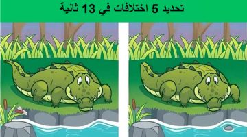 هل يمكنك تحديد 5 اختلافات بين صورتي التمساح في 13 ثانية؟ – البوكس نيوز
