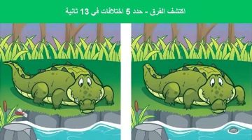 اكتشف الفرق.. هل يمكنك تحديد 5 اختلافات بين صورتي التمساح في 13 ثانية؟ – البوكس نيوز