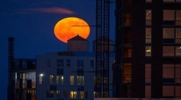 تكنولوجيا  – “قمر الفراولة” يظهر لمدة ثلاث أيام في السماء