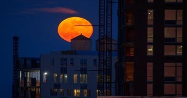 تكنولوجيا  – “قمر الفراولة” يظهر لمدة ثلاثة أيام في السماء
