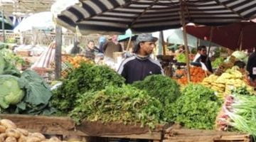 تعرف على أسعار الخضراوات فى الأسواق اليوم الجمعة – البوكس نيوز