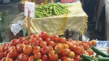 أسعار الخضراوات اليوم بسوق الجملة.. البطاطس بـ5.5 جنيه والطماطم بـ4 جنيهات – البوكس نيوز