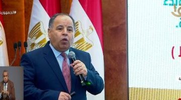 وزير المالية: الاقتصاد المصري يمتلك القدرة على جذب التدفقات الأجنبية – البوكس نيوز