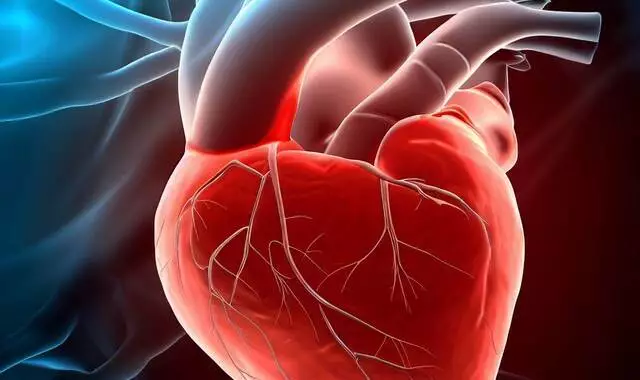 أسباب ضربات القلب السريعة بدون مجهود وكيف تتخلص من دقات القلب السريعة ؟ – البوكس نيوز
