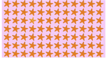 خدعة بصرية للعباقرة… هل يمكنك إيجاد النجمة المختلفة بالصورة خلال 10 ثوان؟ – البوكس نيوز