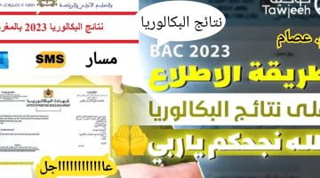 عاجل| نتائج البكالوريا المغرب 2023 الرابط وخطوات استخراج النتيجة رسمياً – البوكس نيوز