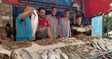 أسعار الأسماك فى مصر اليوم الأربعاء تسجل استقرارا ملحوظا – البوكس نيوز