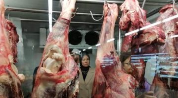 اقتصاد – أسعار اللحوم فى الأسواق اليوم الاثنين 28 أغسطس 2023 – البوكس نيوز
