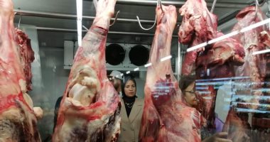 اقتصاد – تعرف على أسعار اللحوم فى الأسواق اليوم الاثنين 11 / 9/ 2023 – البوكس نيوز