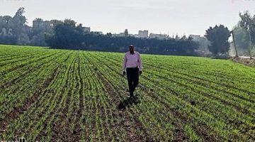 عضو التحالف الوطنى للعمل الأهلى: نستهدف 500 ألف مزارع خلال المرحلة الثانية من مبادرة ازرع – البوكس نيوز