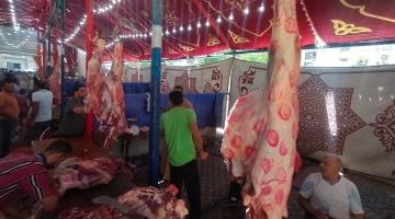شعبة القصابين: استقرار أسعار اللحوم فى الأسواق خلال الفترة الحالية – البوكس نيوز