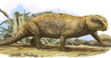 تكنولوجيا  – دراسة جديدة تكشف عن نوع من الزواحف سكن الأرض منذ 250 مليون سنة
