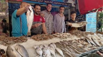 أسعار كافة أصناف الأسماك فى مصر اليوم الاثنين تسجل استقرارا ملحوظا – البوكس نيوز