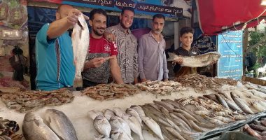 أسعار كافة أصناف الأسماك فى مصر اليوم الاثنين تسجل استقرارا ملحوظا – البوكس نيوز