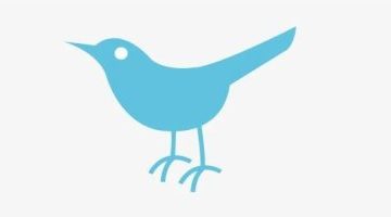 تكنولوجيا  – مع استبدال شعار تويتر.. نظرة تاريخية على تطور تصميم طائر التغريدات الأزرق القديم
