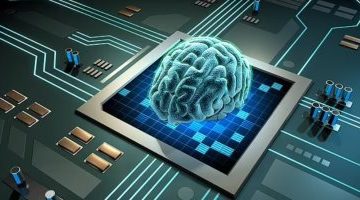 تكنولوجيا  – العلماء الاستراليون يكشفون عن خطة لدمج خلايا المخ مع الذكاء الاصطناعى