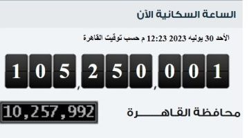 الإحصاء: مصر تسجل ربع مليون نسمة زيادة فى عدد سكانها خلال 57 يوما فقط – البوكس نيوز
