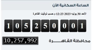 الإحصاء: مصر تسجل ربع مليون نسمة زيادة فى عدد سكانها خلال 57 يوما فقط – البوكس نيوز