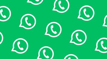 على غرار المراسلة الصوتية.. WhatsApp يقدم ميزة رسائل الفيديو الفورية   – البوكس نيوز