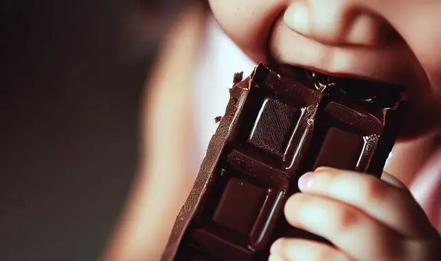 فوائد الشوكولاتة للنساء وتأثير تناول الشوكولاتة الداكنة على الجسم – البوكس نيوز