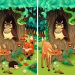 spot-10-Differences-in-20-seconds-1.jpg