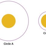 which-circle-is-bigger-optical-illusion.jpg
