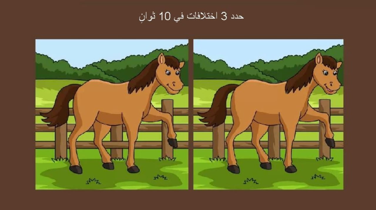 اكتشف الفرق.. حدد 3 اختلافات بين صورتي الحصان في 10 ثوانٍ – البوكس نيوز