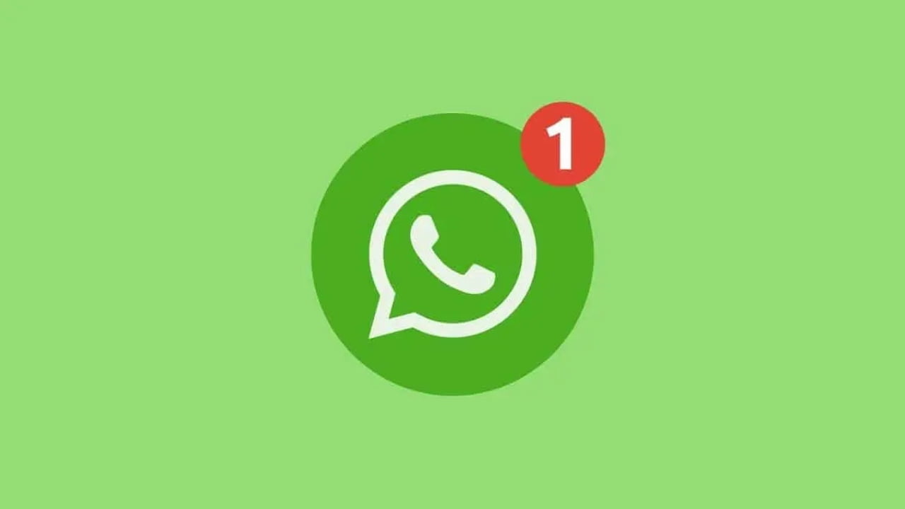 تحديث WhatsApp جديد يتيح مراسلة أي شخص دون حاجة لحفظه في جهات الاتصال بهاتفك – البوكس نيوز