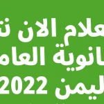 رابط-استخراج-نتائج-الثانوية-العامة-2023-اليمن-e1689978691909.webp.webp