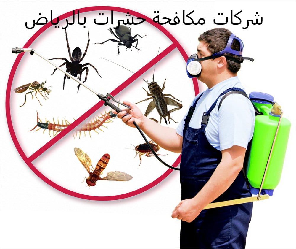 الخبرة والجودة والضمانات للحصول على بيئة صحية خالية من الحشرات – البوكس نيوز