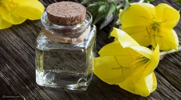 فوائد زيت زهرة الربيع للجسم والصحة العامة – البوكس نيوز