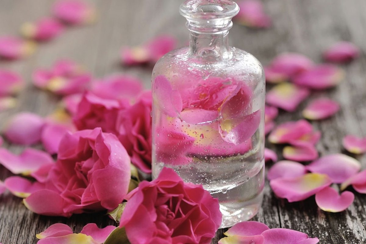 فوائد شرب ماء الورد المذهلة للبشرة وللقدرة الجنسية وتكبير حجم الثدي – البوكس نيوز