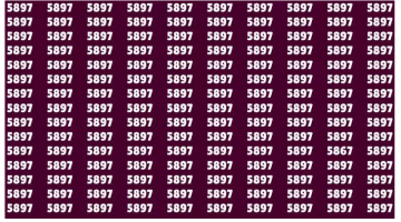 لو أنت عبقري… ابحث عن رقم 5867 المختلف في الصورة خلال 15 ثانية – البوكس نيوز
