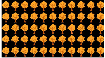 هل أنت قوي الملاحظة… اعثر على الشجرة المختلفة في الصورة خلال 10 ثوانٍ – البوكس نيوز