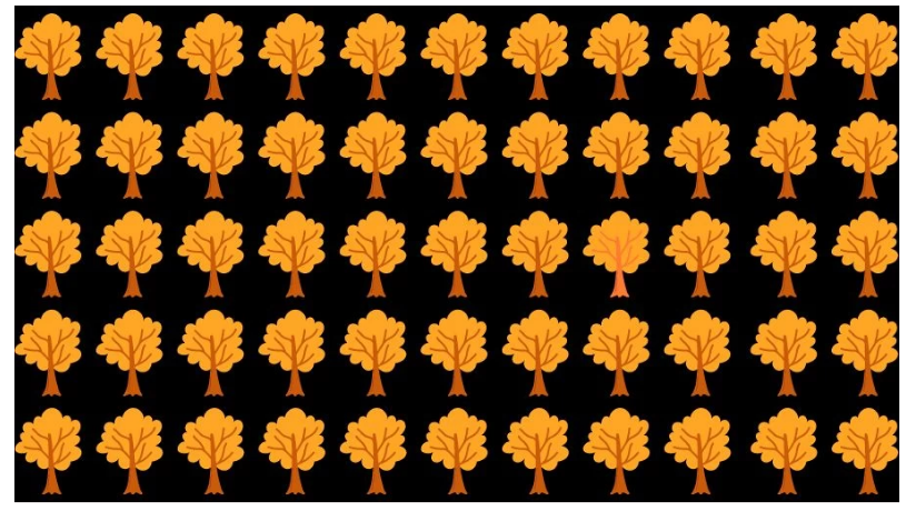 هل أنت قوي الملاحظة… اعثر على الشجرة المختلفة في الصورة خلال 10 ثوانٍ – البوكس نيوز