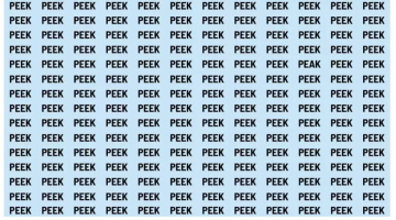 لو أنت عبقري.. ابحث عن كلمة PEAK في الصورة خلال 10 ثوانٍ – البوكس نيوز