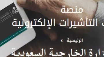 منصة خدمات التأشيرات الإلكترونية في المملكة العربية السعودية دليل شامل  – البوكس نيوز