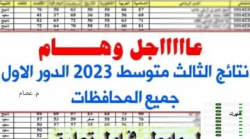 نتيجة الثالث متوسط العراق بغداد ونينوى والقادسية وصلاح الدين وجميع المحافظات العراقية 2023 – البوكس نيوز