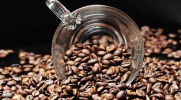 هل قشر القهوة للتخسيس؟ ما هي فوائده وأضراره – البوكس نيوز