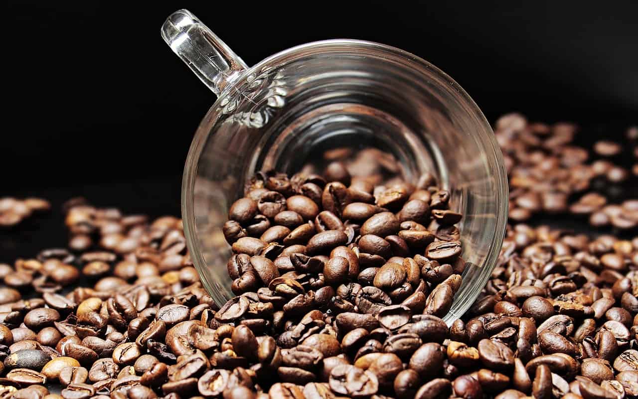 هل قشر القهوة للتخسيس؟ ما هي فوائده وأضراره – البوكس نيوز