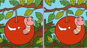 الان – لغز اكتشف الفرق.. اكتشف 3 اختلافات بين صور الفاكهة والدودة في 12 ثانية – البوكس نيوز