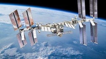 تكنولوجيا  – تقرير: العلماء يطورون حل لمشكلة الفطريات فى محطة الفضاء الدولية