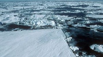 تكنولوجيا  – دراسة تحذر: أنتاركتيكا تواجه سلسلة من الأحداث المتطرفة مع ارتفاع حرارة الأرض