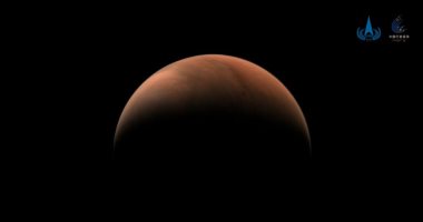 تكنولوجيا  – هل تم العثور على كائنات حية بكوكب المريخ وناسا قتلتها بالخطأ؟