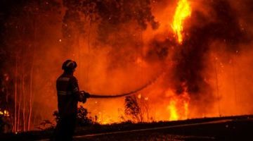 تكنولوجيا  – كاليفورنيا تنشر الذكاء الاصطناعي للكشف عن حرائق الغابات قبل انتشارها