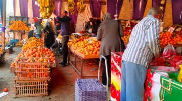 اقتصاد – أسعار الخضراوات فى الأسواق اليوم.. سعر الطماطم من 6 إلى 9 جنيهات – البوكس نيوز