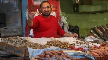 اقتصاد – أسعار الأسماك اليوم فى مصر والبلطى بـ58 جنيها للكيلو – البوكس نيوز