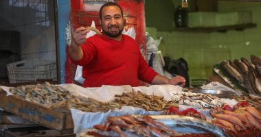 اقتصاد – أسعار الأسماك اليوم فى مصر والبلطى بـ58 جنيها للكيلو – البوكس نيوز