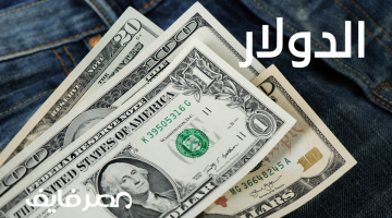 الان – سعر الدولار اليوم 11 أغسطس 2023 مقابل الجنيه المصري – البوكس نيوز